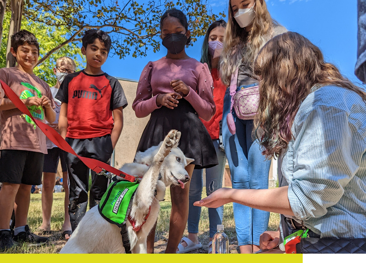 Group of Kids Petting a Dog